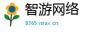 智游网络